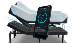 Split King base with Sleeptracker AI